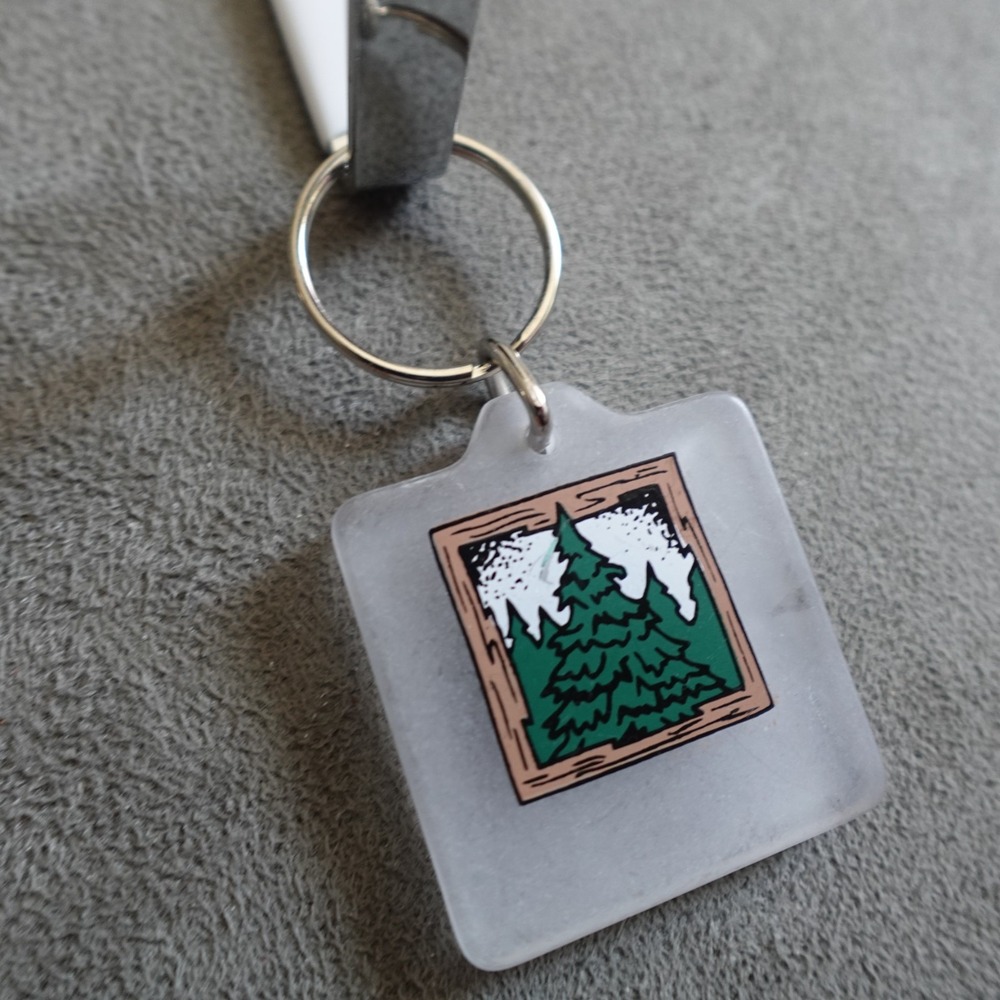 Pine Tree Mountain Keychain Resin Novelty Destination Travel